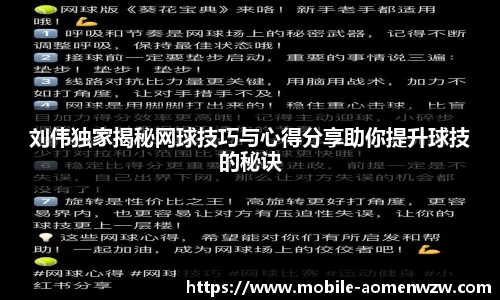 刘伟独家揭秘网球技巧与心得分享助你提升球技的秘诀