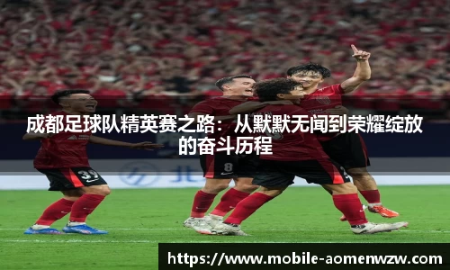 成都足球队精英赛之路：从默默无闻到荣耀绽放的奋斗历程